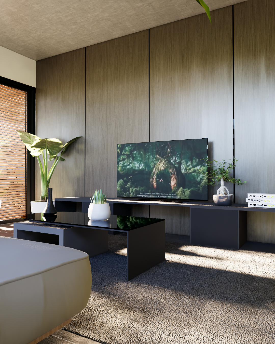 TV